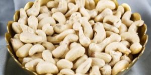 Premium Cashew Nuts