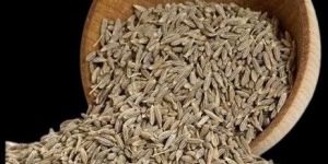 Cumin Seed Jeera