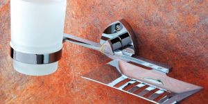 Zudio Brass Soap Dish With Tumble Holder