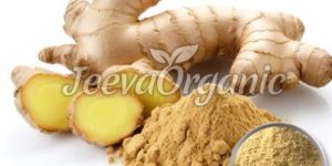 Ginger Root Extract Powder 2.5%