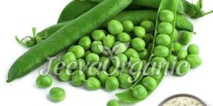 Pea Protein Powder 80%