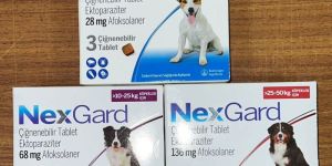 nexgard dog medicines