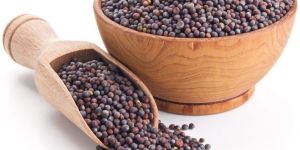 Black Mustard Seeds