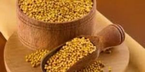 Yellow Mustard Seeds