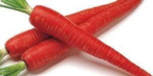 Fresh Red Carrot