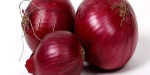 Fresh Red Onion