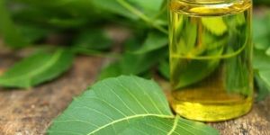 Cold Pressed Pungai Oil 100ml