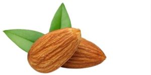 Almond Kernels