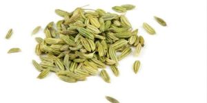 Fennel Seed