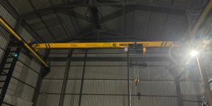 Single Girder 5 Ton EOT Crane