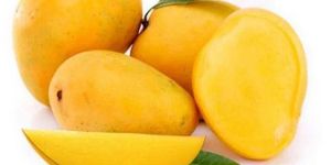 A Grade Fresh Alphonso Mango