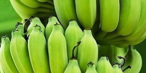 Raw Green Banana
