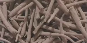 Dry Ashwagandha Root