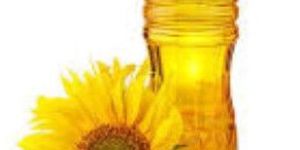 Sunflower Oil
