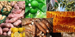 Agricultural Food Products