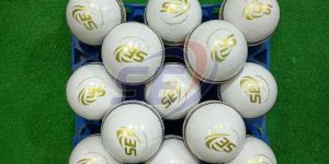 Leather Cricket Balls