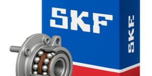 Skf Bearing