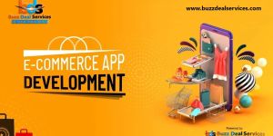 E-commerce Shopping Website & APP Development Service