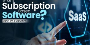 Subscription-Based Business Software Development Service