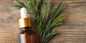 Tea Tree Oil