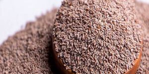 Psyllium Seeds