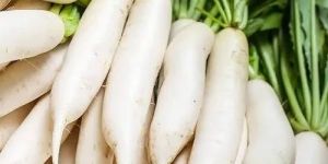 Fresh Radish