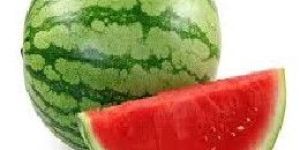 Fresh Watermelon