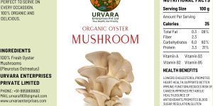 Dry Oyster Mushroom