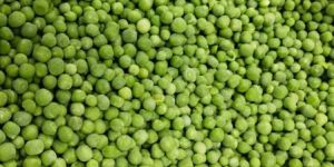 Frozen Green Peas 8 - 10MM