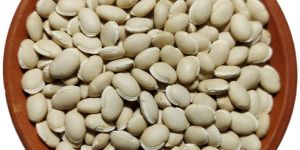 Lima Bean