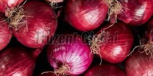 Fresh Red Onion