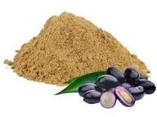 Jamun Seed Herbal Powder