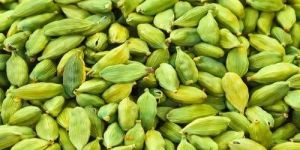 Green Cardamom