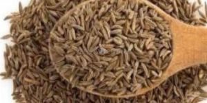 Cumin Seeds