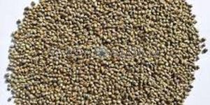 Pearl Millets