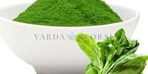 Spinach Powder