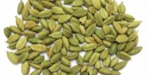 Green Cardamom