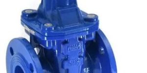 Sant D.i. Resilient Seated Gate Sluice Valve Rsv