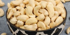 Premium Cashew Nuts