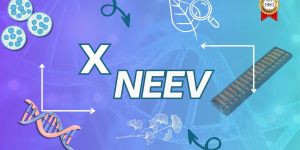 NEEV-X Pre Foundation Course Service