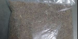 Cumin Seeds