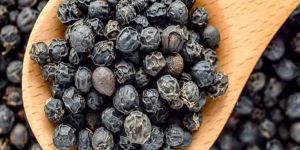 Black Pepper Seeds