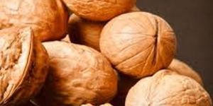 Shelled Walnuts