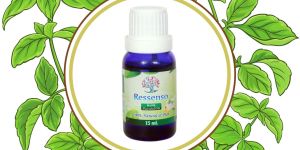 15ml Ressenso Basil Essential Oil