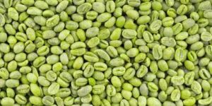 Green Coffee Beans