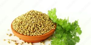 Coriander Seed