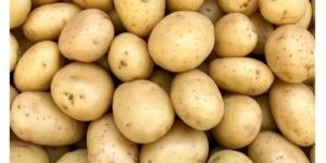 Brown Fresh Organic Potato