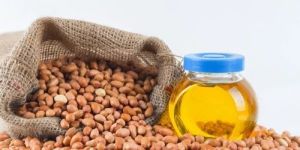 Groundnut Oil Seed