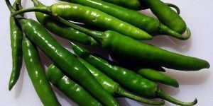 Natural Fresh Green Chilli