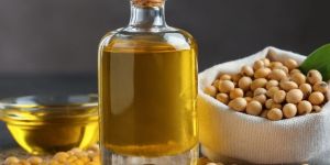 Raw Soybean Oil Seed